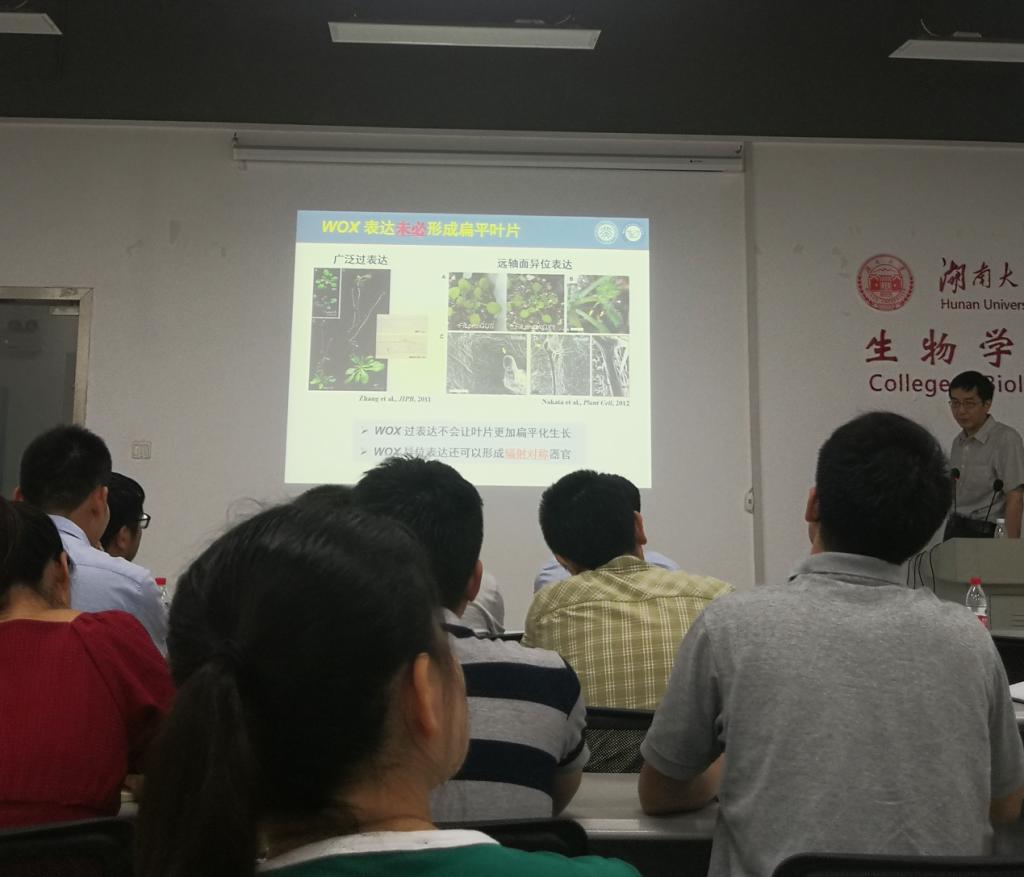 一群人正在听演讲描述已自动生成